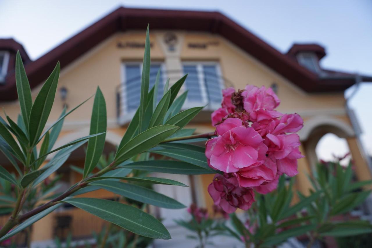 Bed and Breakfast Airport Almaskert Panzio à Vecsés Extérieur photo